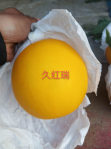 mmexport1586181667506.png