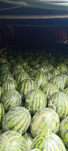 wx_camera_1592110142122.png