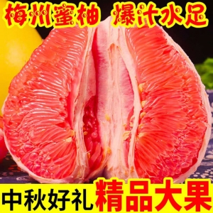 微信图片_20200717095808.jpg