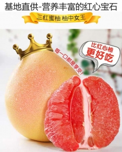 微信图片_20200717095733.jpg
