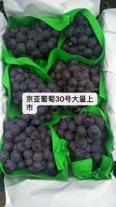 BFC7057B-E2B1-4FA2-AAB9-DC0A10ED8FD2.jpeg