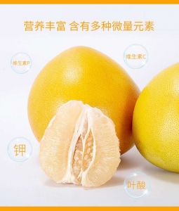 微信图片_20200725161853.jpg