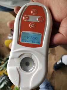 mmexport1595758019125.jpg