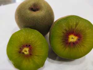 IMG_20200724_184739.jpg