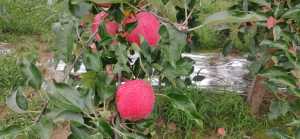 wx_camera_1597634459721.jpg