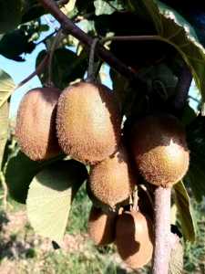 239D01DB-14D3-4D2C-AC24-5A9A7B4B1CB7.jpeg
