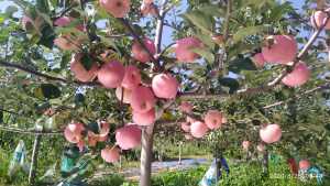 IMG_20200826_094422.jpg