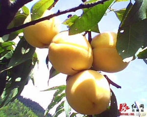 u=4142046909,4117362472&amp;fm=26&amp;gp=0.jpg
