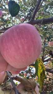 FE0B3960-1522-43E1-A9E7-F6A06E975268.jpeg