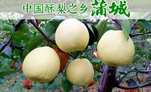 TB2C.iray2A11Bjy0FdXXbPwVXa_!!58714079.jpg