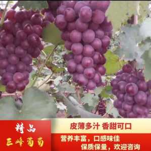 946D2EB5-B8E2-49BC-BEA0-A0C87E5D3B75.jpeg