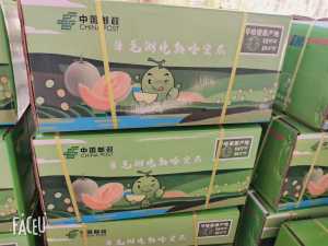 618C106E-DBFD-4445-AA55-D0B1683AE98B.jpeg