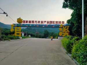 IMG20200829173013.jpg