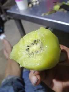 IMG_20200825_215435.jpg