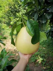 7223C108-E937-414C-9EC3-5A4F27ED08DE.jpeg