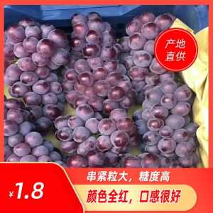 7572A0E8-8F0D-4335-A677-44B0CC133010.jpeg