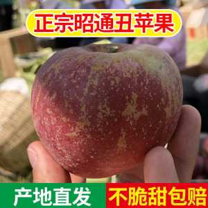 mmexport406dde368ea80702fc976539358c6a65.jpeg
