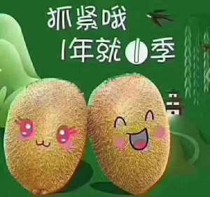 MTXX_oGboVlRsjm2B0od6nZJs39BNGwo6d.jpg