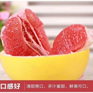 微信图片_20200914145819.jpg