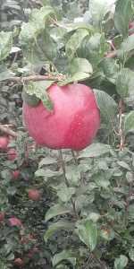 IMG_20200914_164451R.jpg