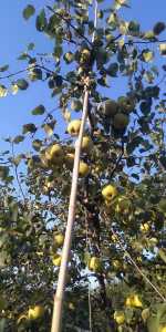 IMG_20200908_172224R.jpg