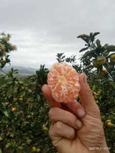 microMsg.tmp.1599915216714.jpg