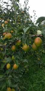 wx_camera_1597461784139.jpg
