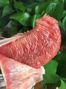 6A573EA0-370E-4470-BECF-A844108EFB1E.jpeg