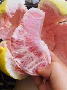 3D691894-AB26-49B7-A62A-3F40CB7A8082.jpeg