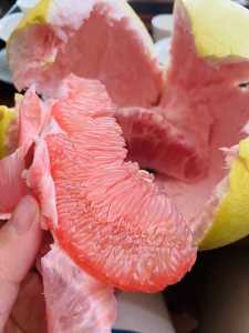 9FED5575-ADAB-4FCE-B6EE-F7BD4E3CCC86.jpeg
