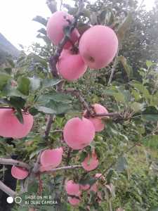 IMG_20200919_180100.jpg