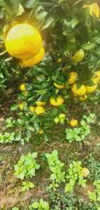 IMG20200922163847.jpg