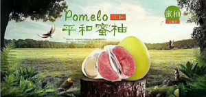 4188DEAC-6C7D-4064-9F82-0880F9DD6285.jpeg