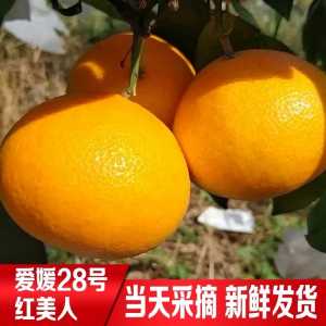 1CC8715D-73D6-4433-BF44-01809F81F0A0.jpeg