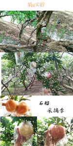 mmexport1601048652690.png