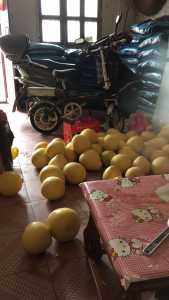 39E4A16E-DB1B-4777-A6FC-B00001DE1A1B.jpeg