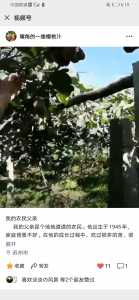 Screenshot_20200916_061950_com.tencent.mm.jpg