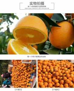 66A7688B-F2E5-4D74-99F9-A4BAB263FCC6.jpeg