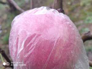 IMG_20200920_164540.jpg