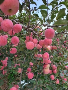 微信图片_20201009230758.jpg