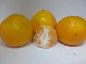 IMG20201011164401.jpg