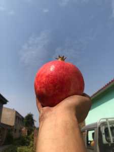 95D92CFB-37DF-43CA-9B38-C0164421E33C.jpeg