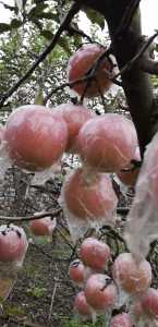 E74BB486-28E1-4FEB-AEE9-6F5633D28F45.jpeg