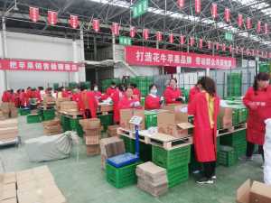 mmexport1602768475050.jpg