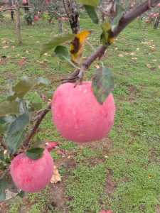 IMG_20201002_152304.jpg
