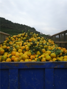 微信图片_20201017092837.jpg