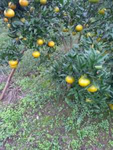 IMG_20201015_152025.jpg