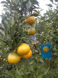 IMG_20201015_142345.jpg