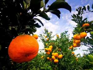 CC71288B-545B-4315-B9D5-7B1481C4B4EC.jpeg