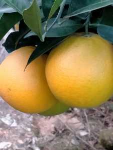 IMG20201019090330.jpg